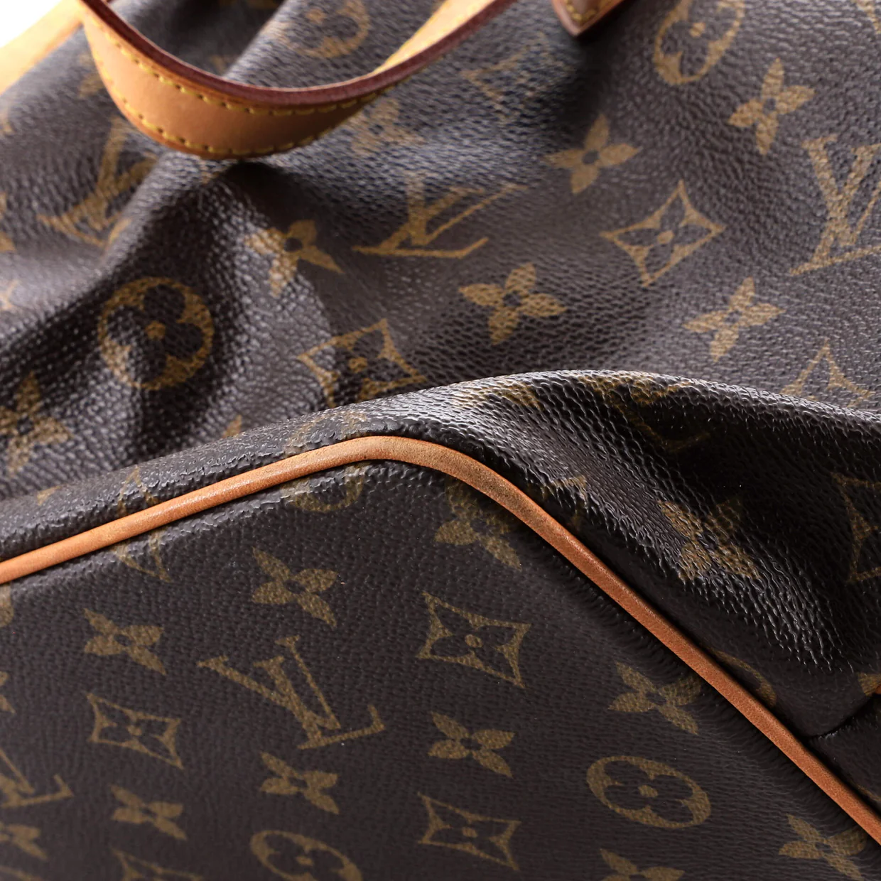 Palermo Handbag Monogram Canvas PM - Deep Luxury