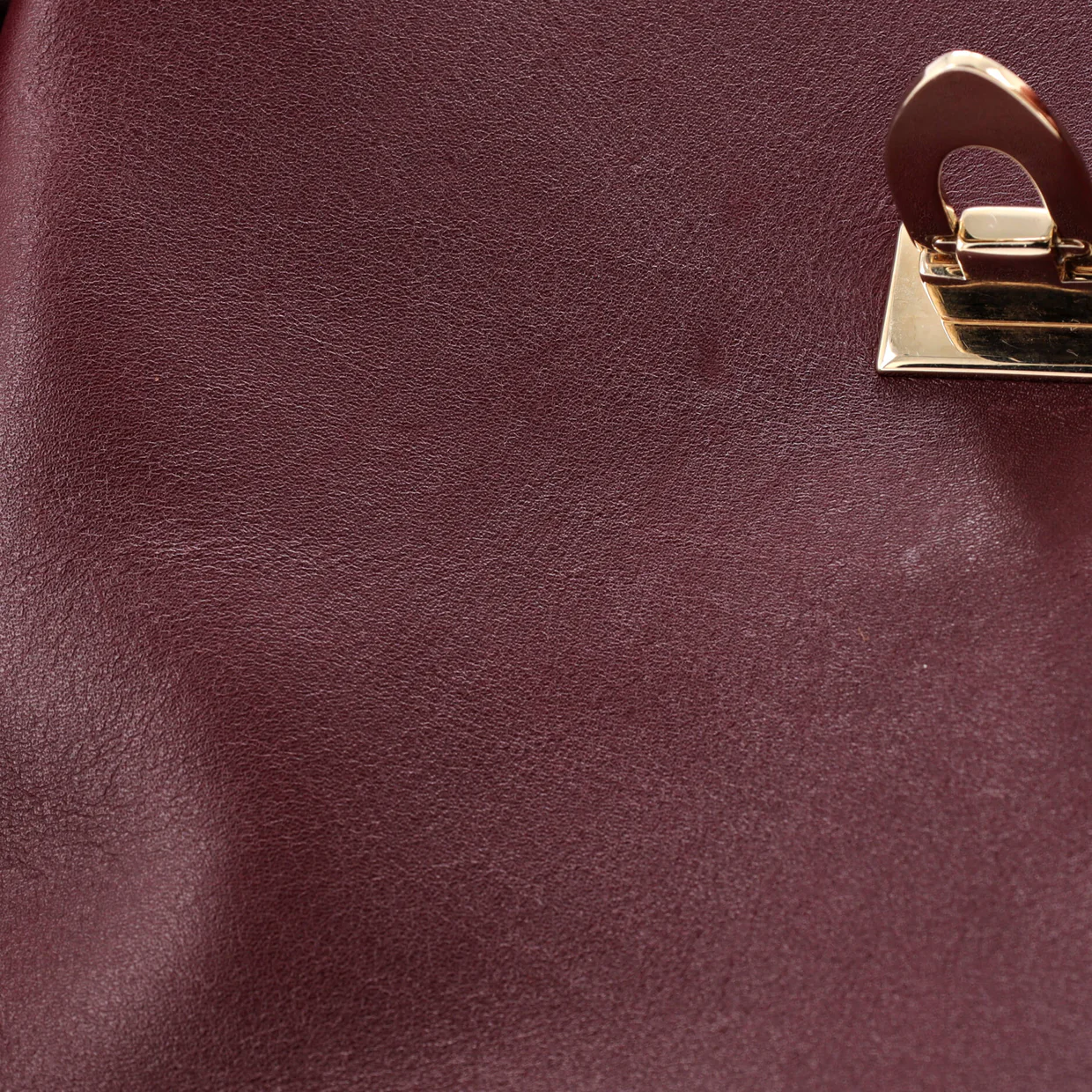 Demilune Drawstring Backpack Leather - Deep Luxury