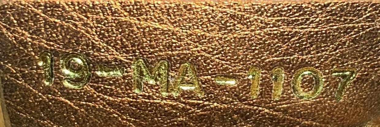 Dio(r)evolution Flap Bag Leather Medium - Deep Luxury