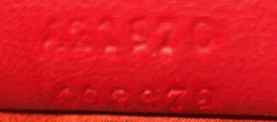 Dionysus Bag GG Coated Canvas Mini - Deep Luxury