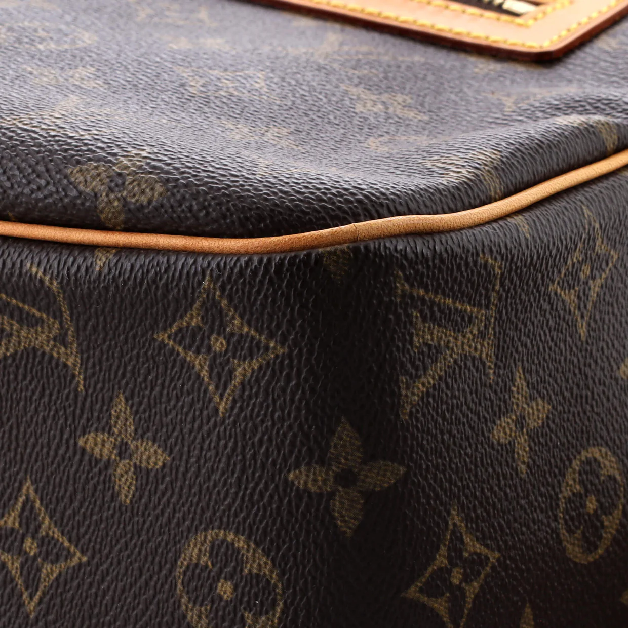 Cite Handbag Monogram Canvas GM - Deep Luxury