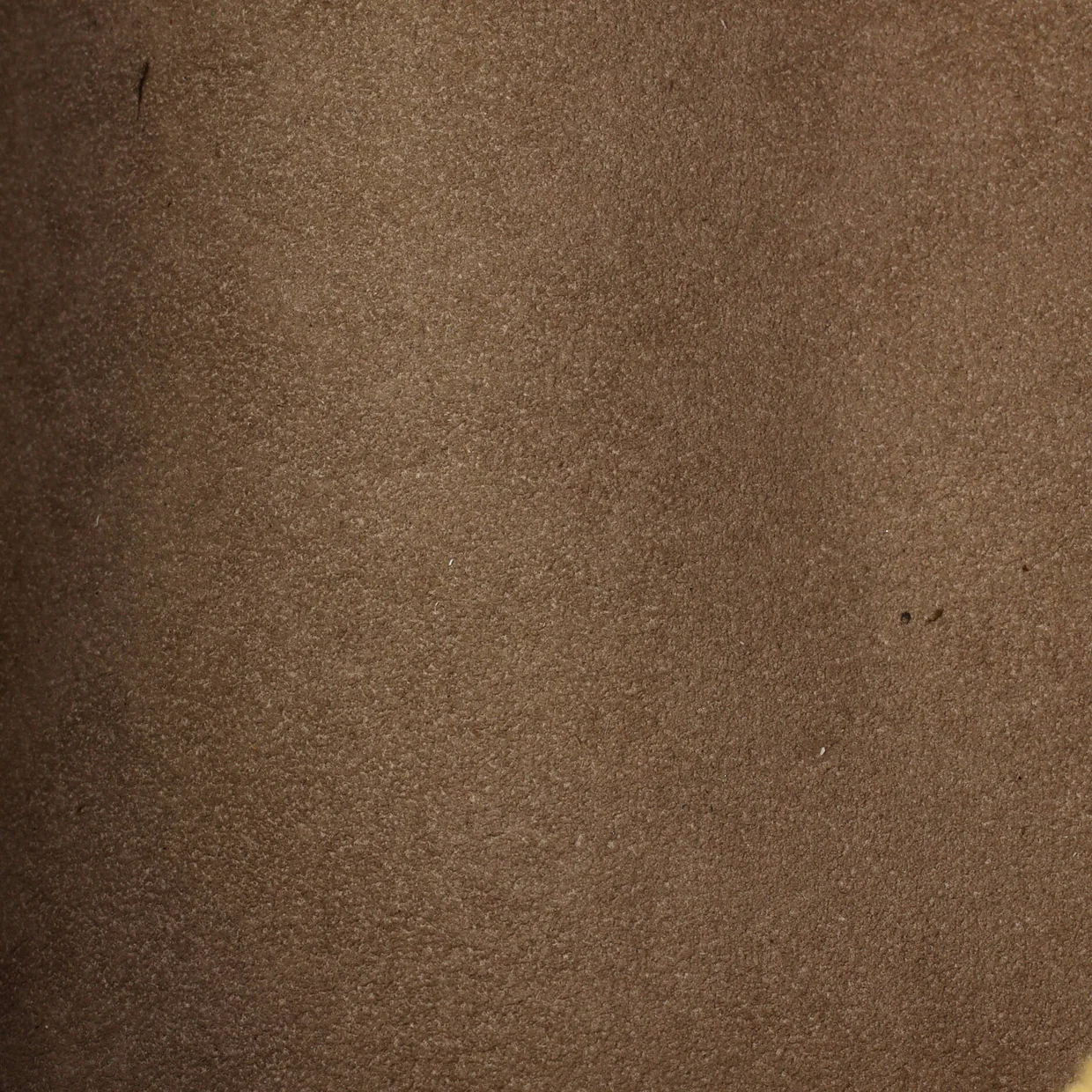 Speedy Bandouliere Bag Monogram Empreinte Giant 25 - Deep Luxury