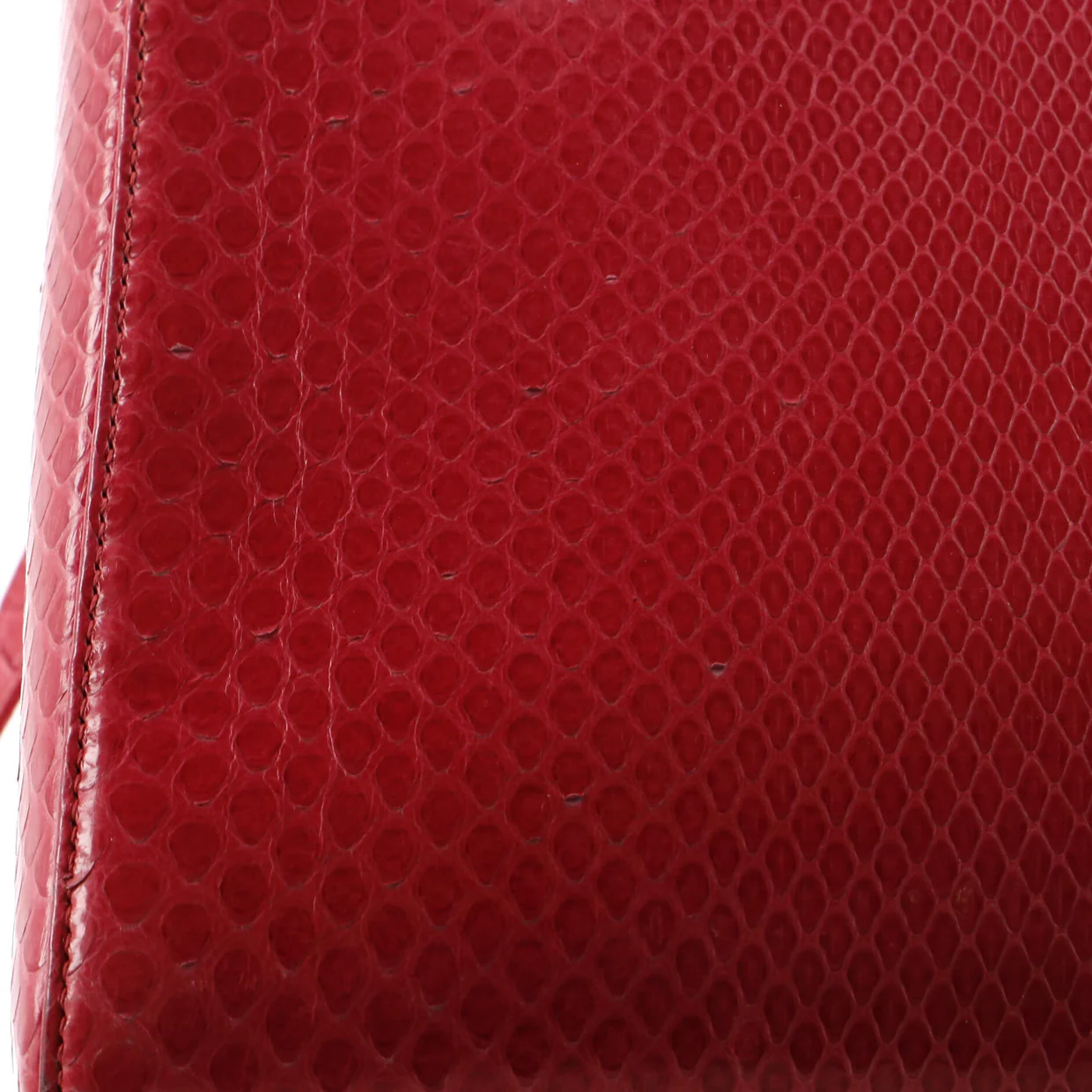 Lady Dior Bag Python Medium - Deep Luxury