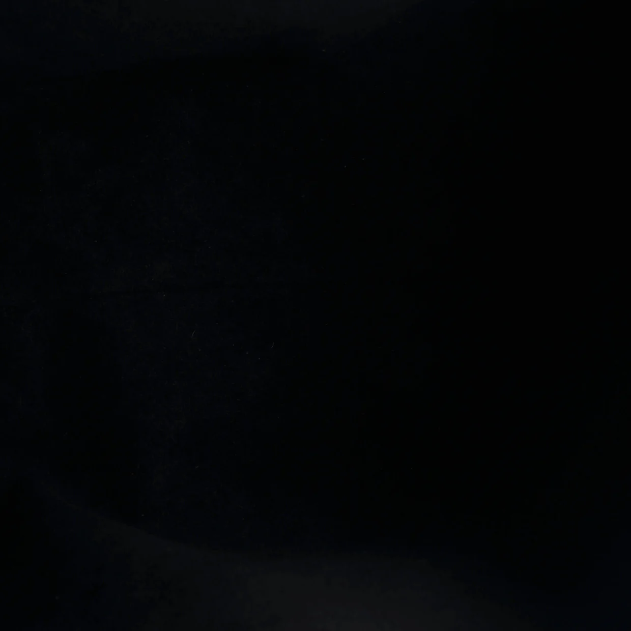 CarryAll Cargo Hobo Leather with Monogram Canvas PM - Deep Luxury