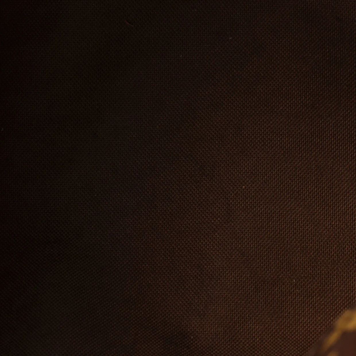 Sully Handbag Monogram Canvas PM - Deep Luxury