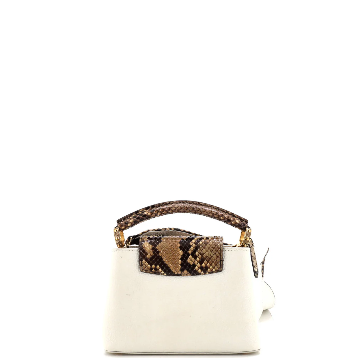 Capucines Bag Leather with Snakeskin Mini - Deep Luxury