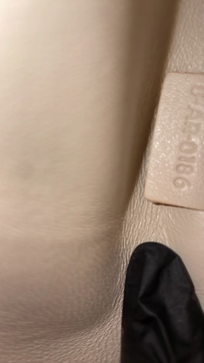 Trapeze Bag Leather Small - Deep Luxury