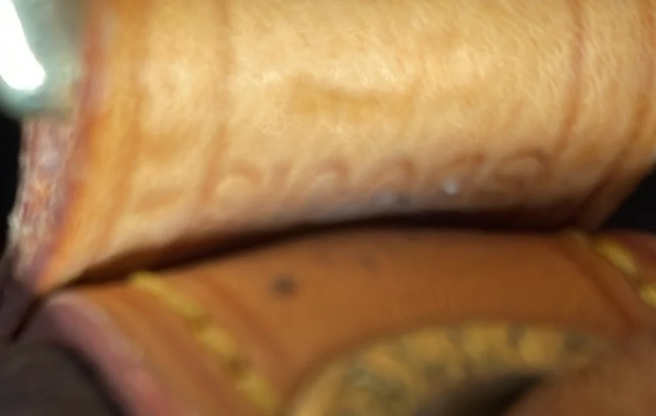 Petit Noe Handbag Monogram Canvas - Deep Luxury