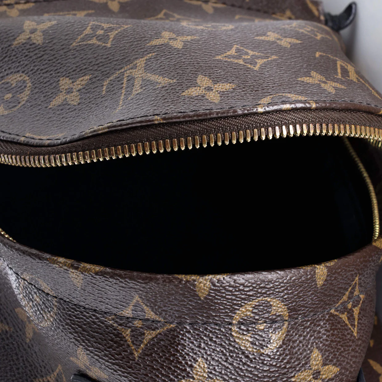 Palm Springs Backpack Monogram Canvas PM - Deep Luxury