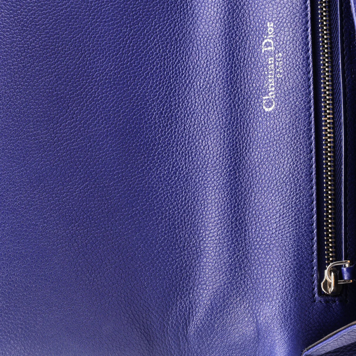 Diorama Flap Bag Grained Calfskin Medium - Deep Luxury