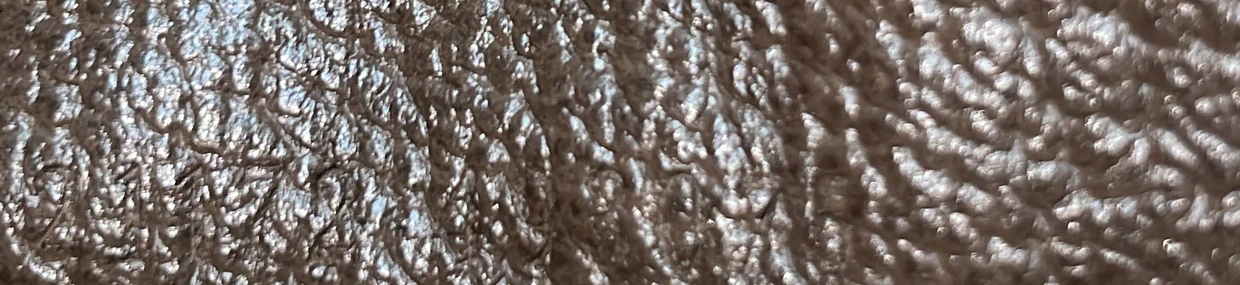 Blondie NM Top Handle Bag GG Coated Canvas Medium - Deep Luxury