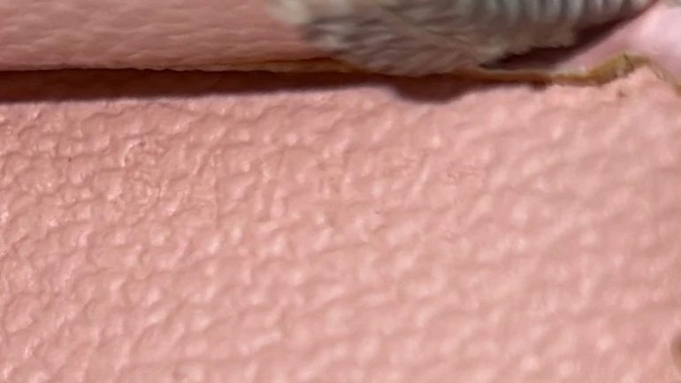 Toiletry Pouch Limited Edition Damier Tahitienne 26 - Deep Luxury