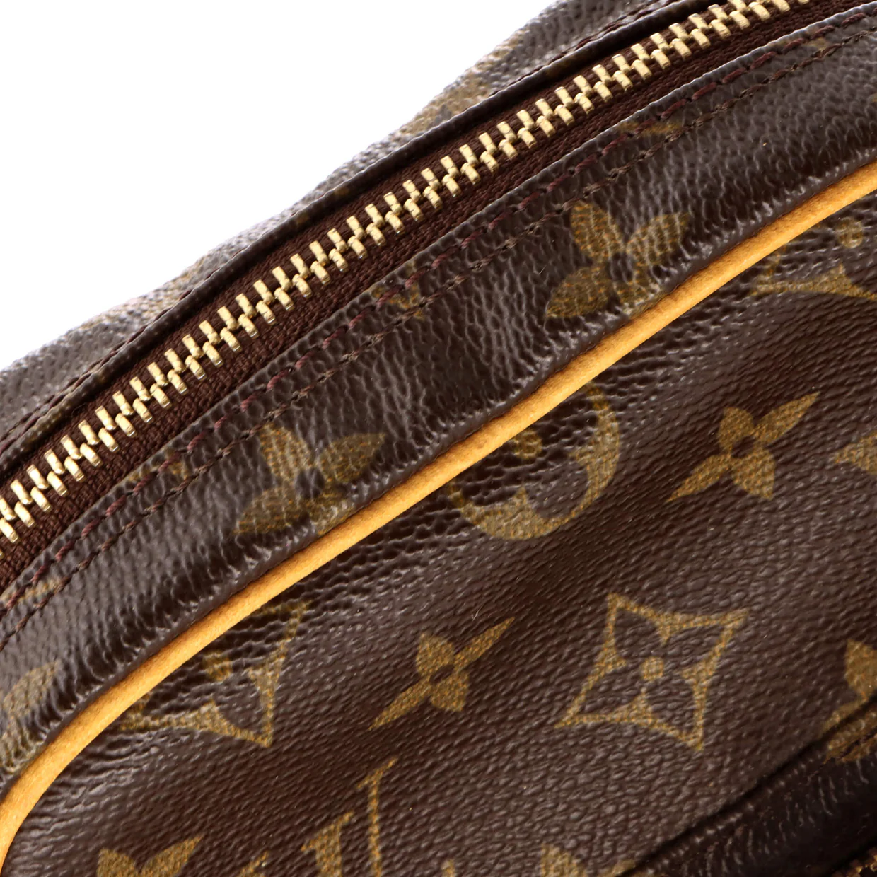 Amazone Bag Monogram Canvas - Deep Luxury