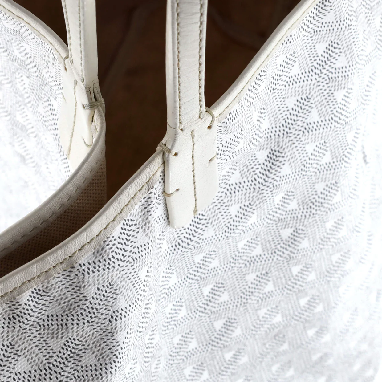 Saint Louis Tote Coated Canvas PM - Deep Luxury