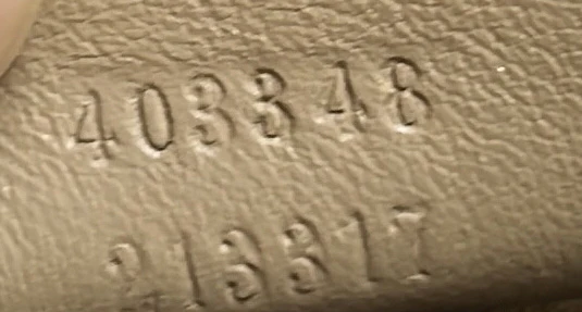 Dionysus Bag GG Coated Canvas Medium - Deep Luxury