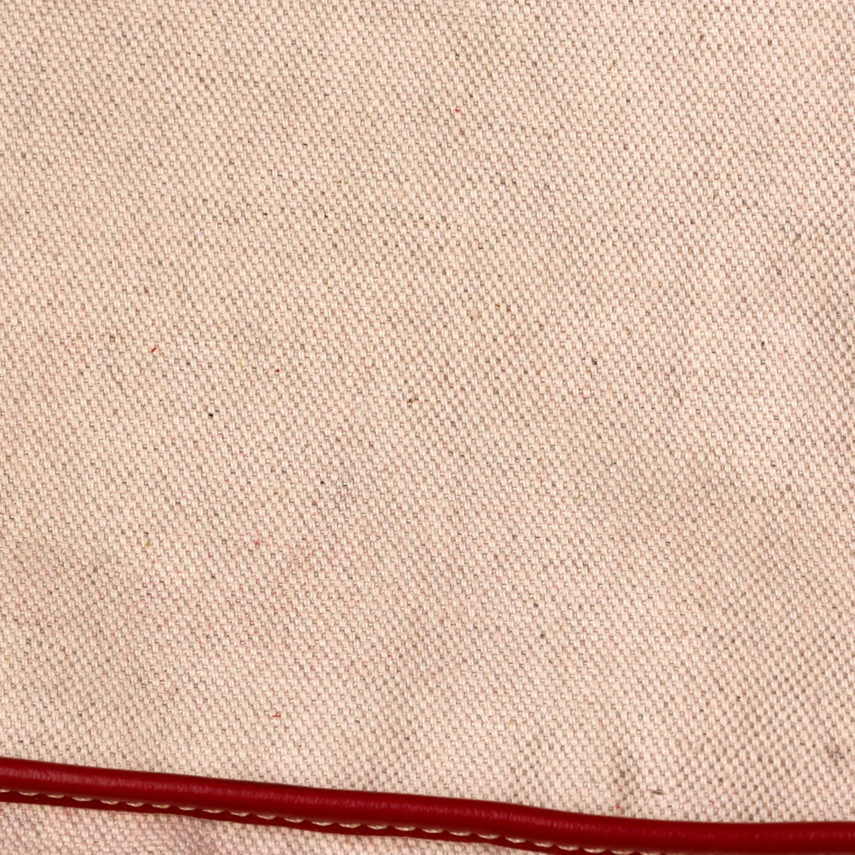 Saint Louis Tote Coated Canvas PM - Deep Luxury