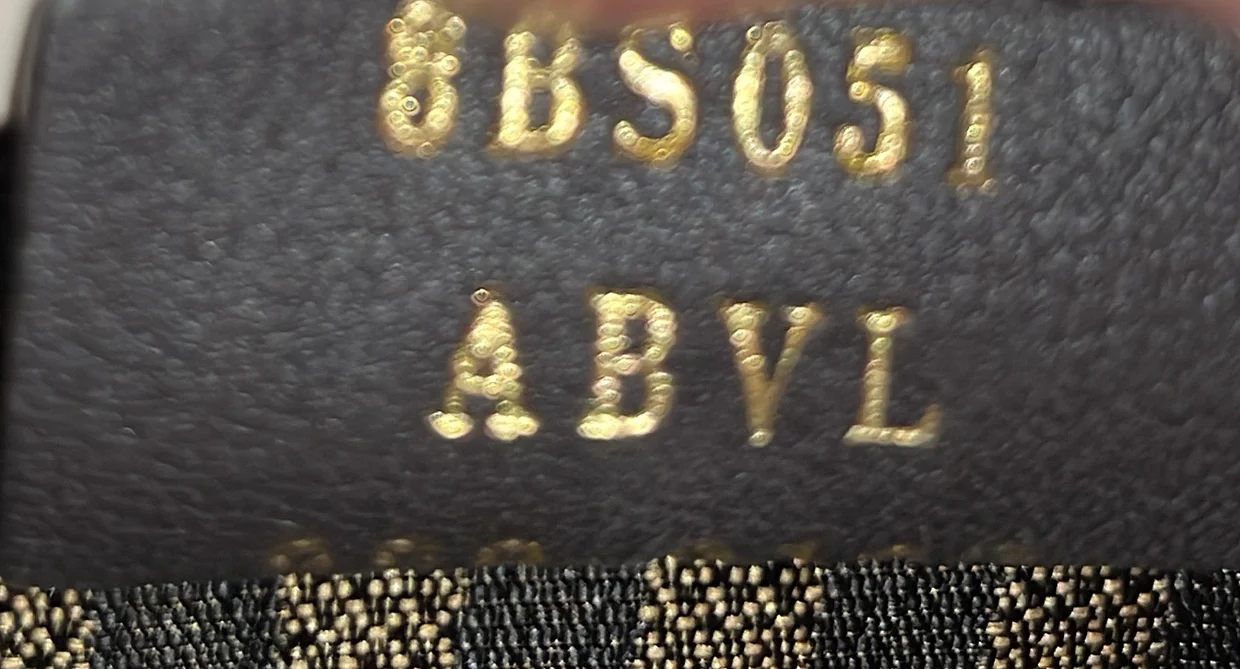 Sunshine Shopper Tote Leather Mini - Deep Luxury