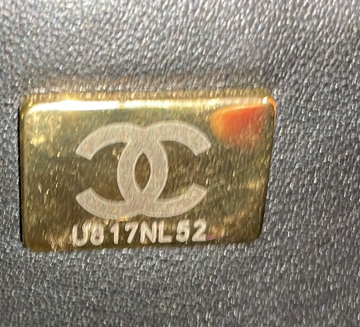 Pick Me Up Logo Handle Vanity Case Quilted Caviar Small - Deep Luxury