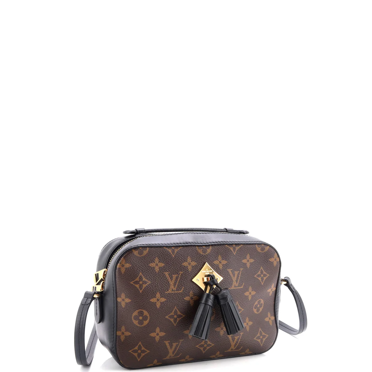 Saintonge Handbag Monogram Canvas with Leather - Deep Luxury