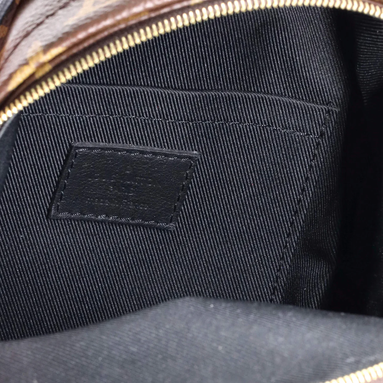 Palm Springs Backpack Monogram Canvas Mini - Deep Luxury