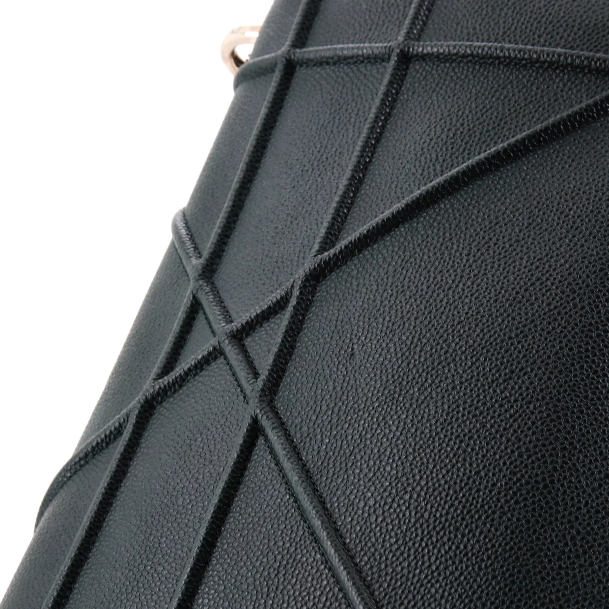 Diorama Flap Bag Grained Calfskin Large - Deep Luxury