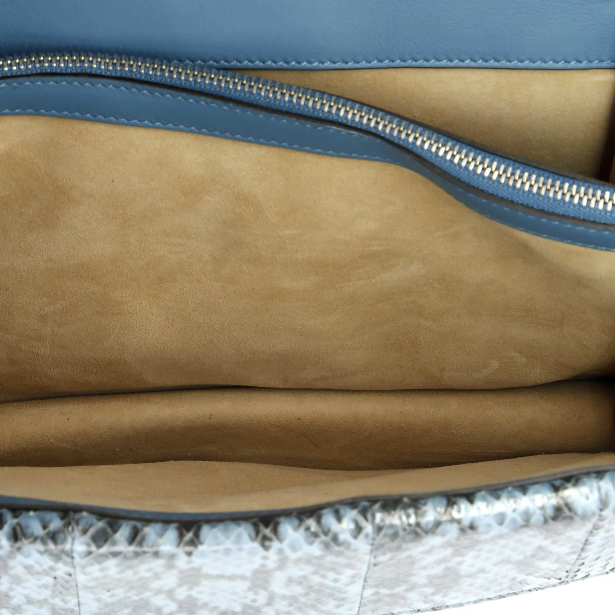 Dionysus Bag Embellished Python Small - Deep Luxury