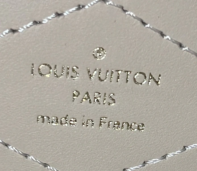 Camera Box Trunk Bag Monogram Canvas - Deep Luxury