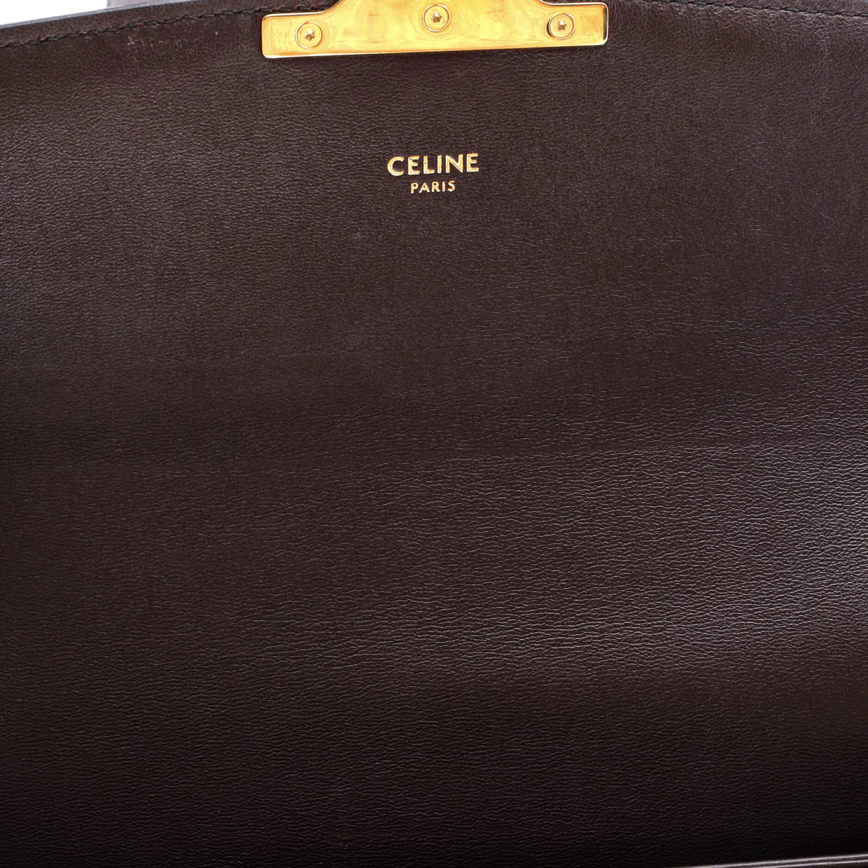 Triomphe Shoulder Bag Canvas with Snakeskin Medium - Deep Luxury