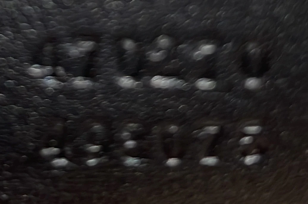 Sylvie Top Handle Bag GG Velvet Mini - Deep Luxury