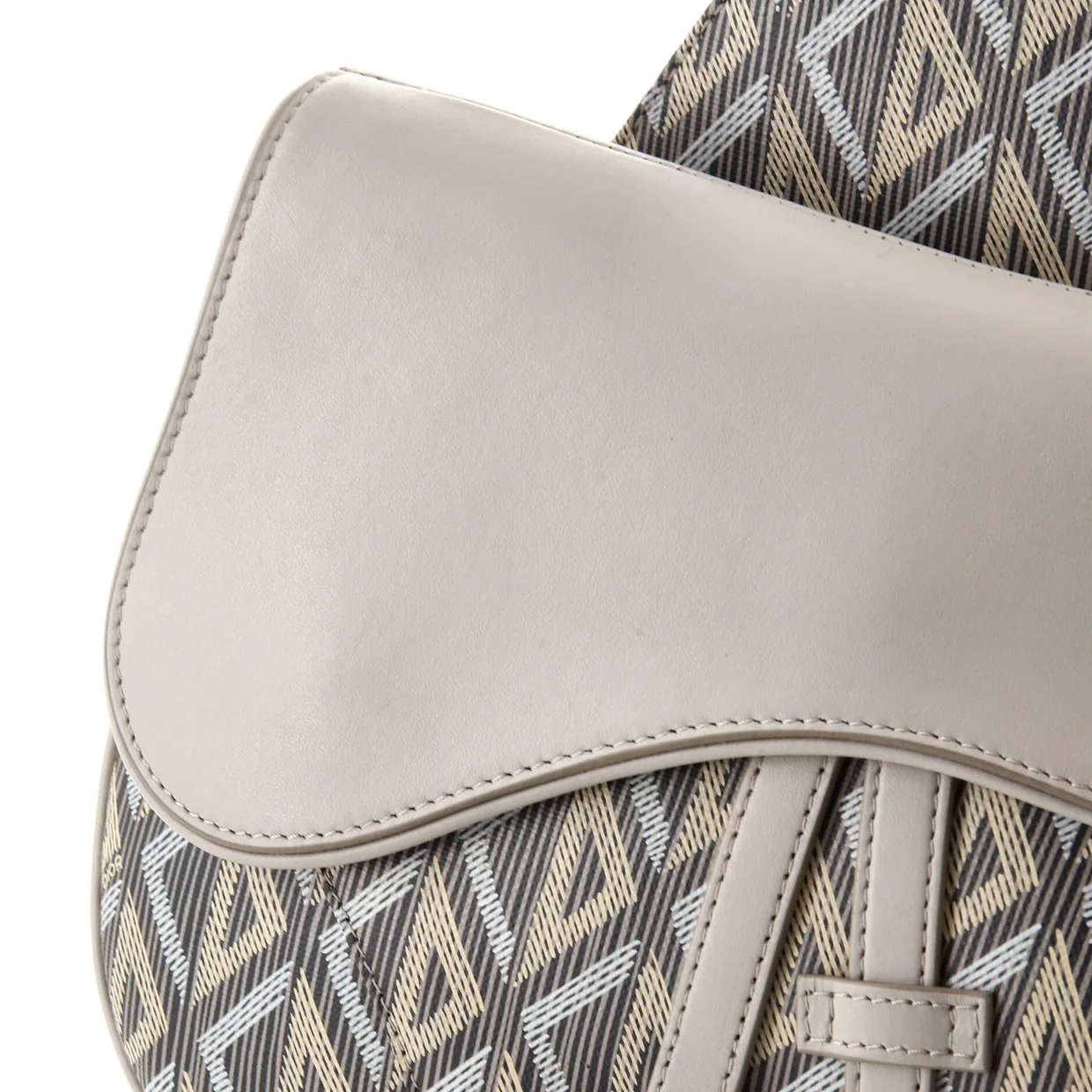 Saddle Crossbody Bag CD Diamond Coated Canvas and Leather - Deep Luxury