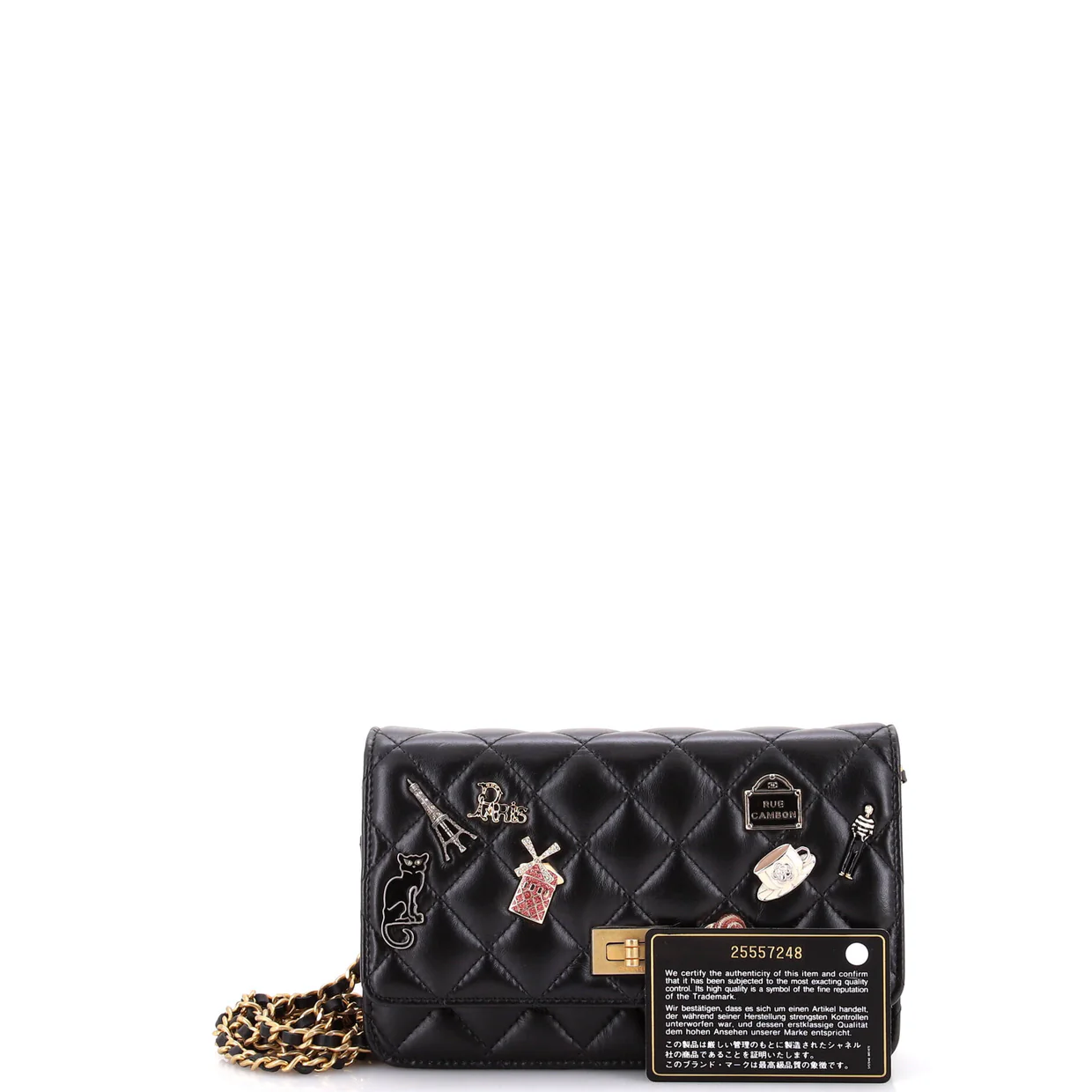 Lucky Charms Reissue 2.55 Wallet on Chain Quilted Calfskin - Deep Luxury