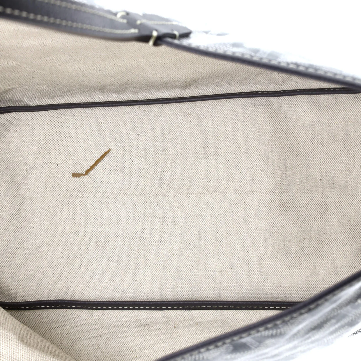 Saint Louis Tote Coated Canvas PM - Deep Luxury