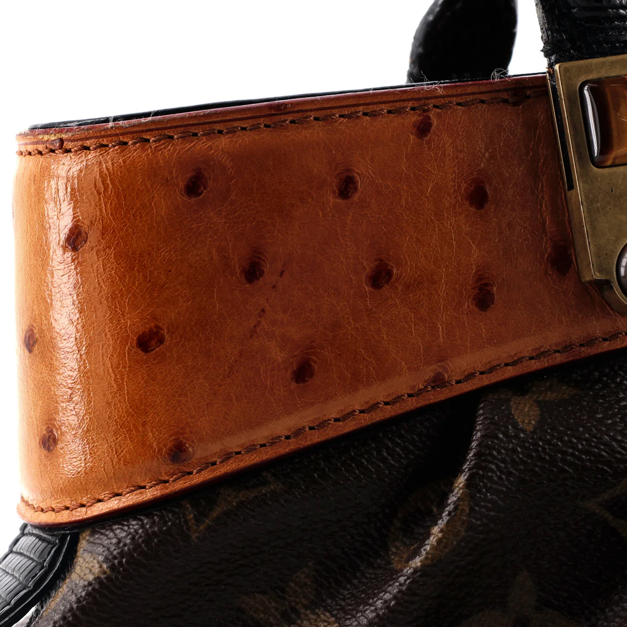 Macha Waltz Handbag Monogram Canvas and Exotics - Deep Luxury