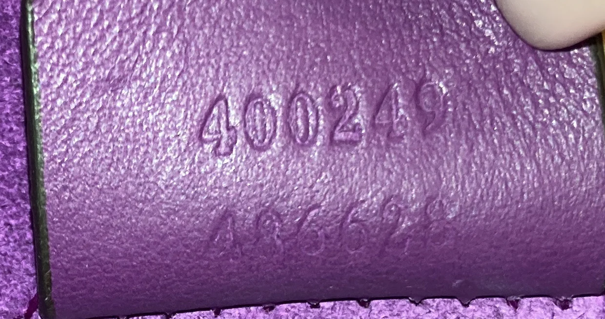 Dionysus Bag Embroidered GG Coated Canvas Small - Deep Luxury