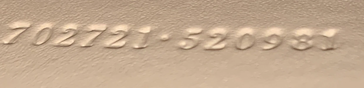 Diana NM Logo Bamboo Handle Tote Embossed Leather Small - Deep Luxury