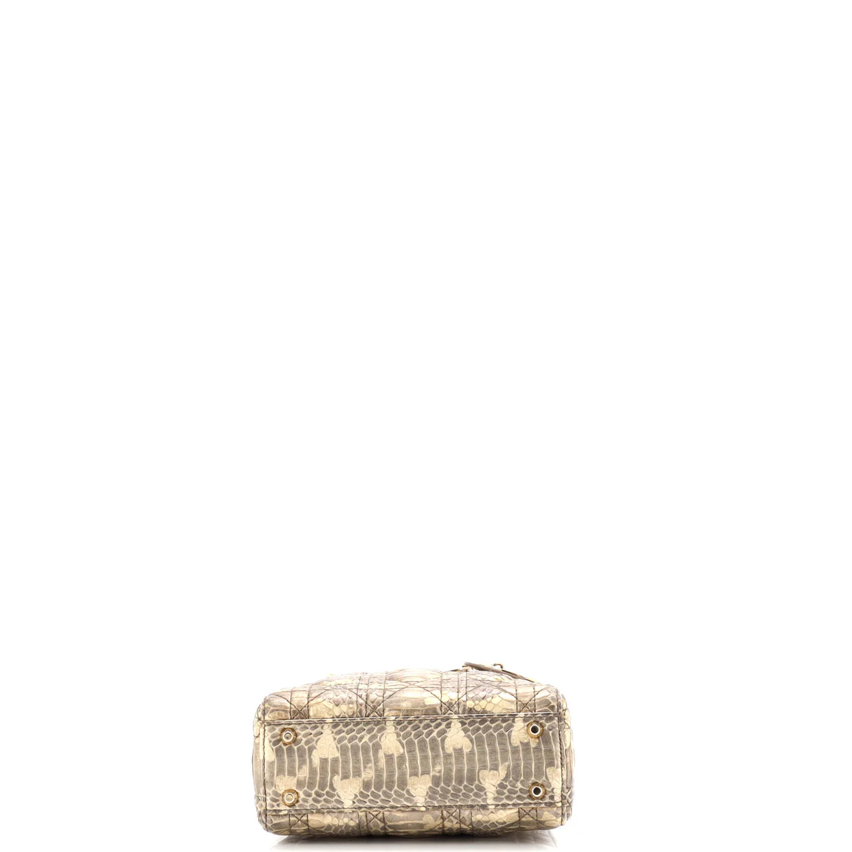 Lady Dior Chain Bag Python Mini - Deep Luxury
