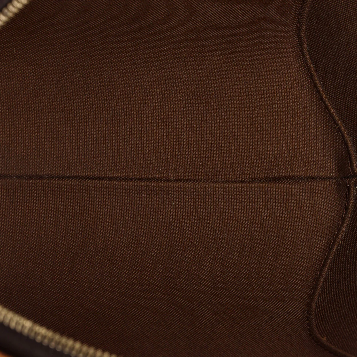 Ellipse Bag Monogram Canvas PM - Deep Luxury