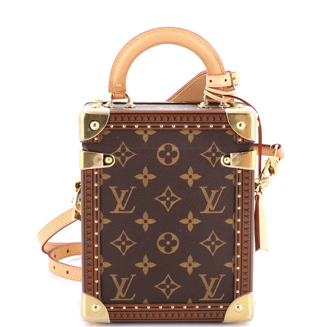 Camera Box Trunk Bag Monogram Canvas - Deep Luxury