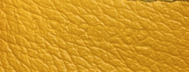 Saigon Top Handle Bag Coated Canvas with Leather Mini - Deep Luxury