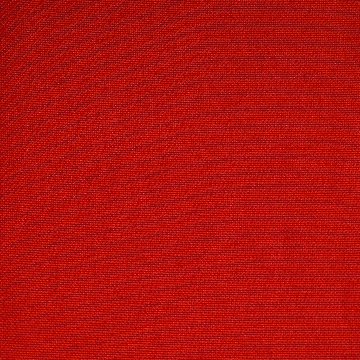 Speedy Handbag Damier 30 - Deep Luxury