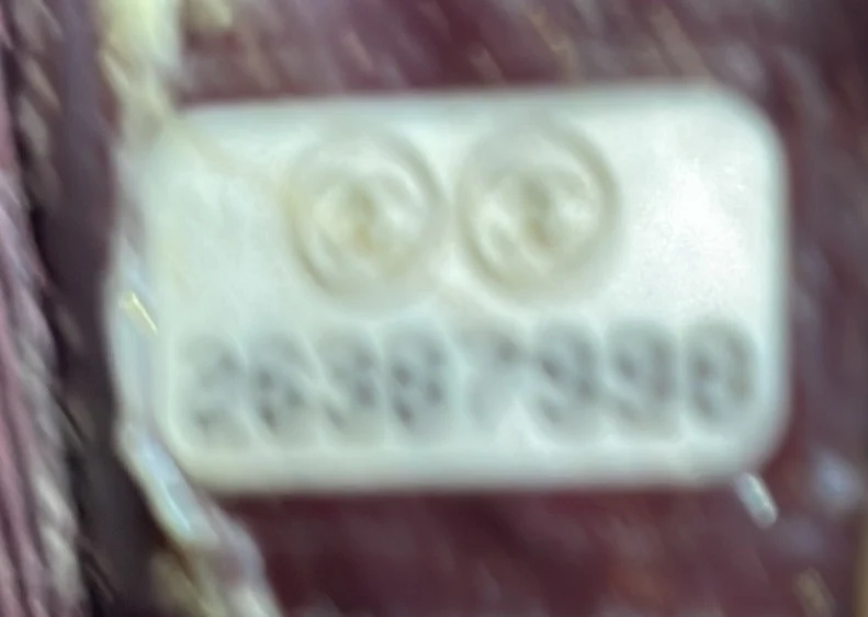 Button Up Camera Case Quilted Calfskin with Grosgrain Small - Deep Luxury