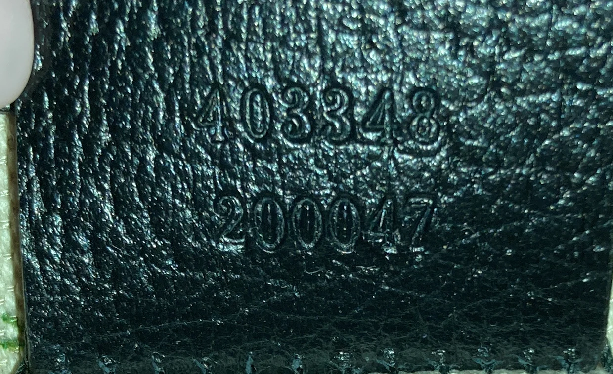 Web Dionysus Bag Embroidered Leather Medium - Deep Luxury