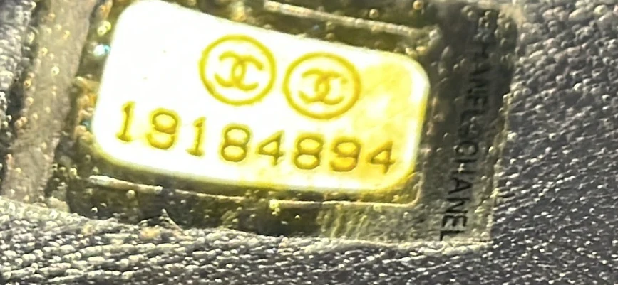 Boy Flap Bag Python Large - Deep Luxury