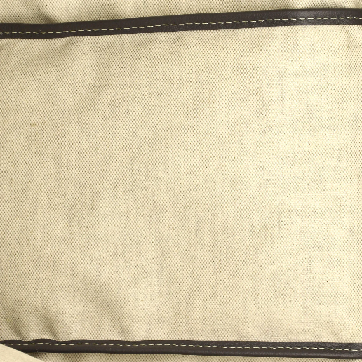 Saint Louis Tote Coated Canvas PM - Deep Luxury