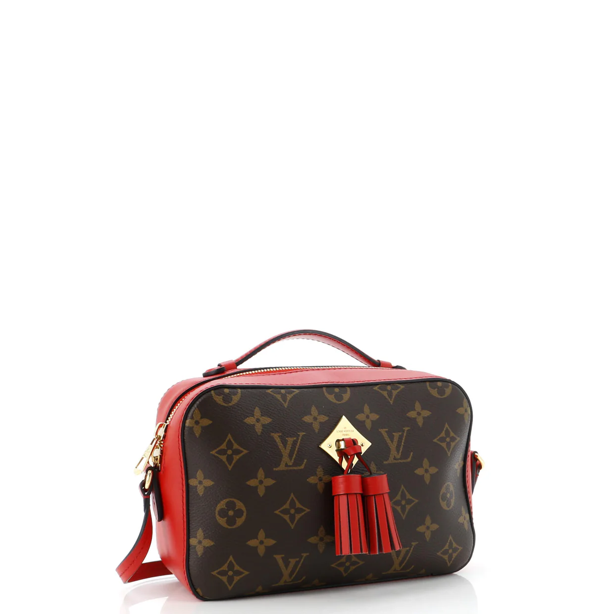 Saintonge Handbag Monogram Canvas with Leather - Deep Luxury
