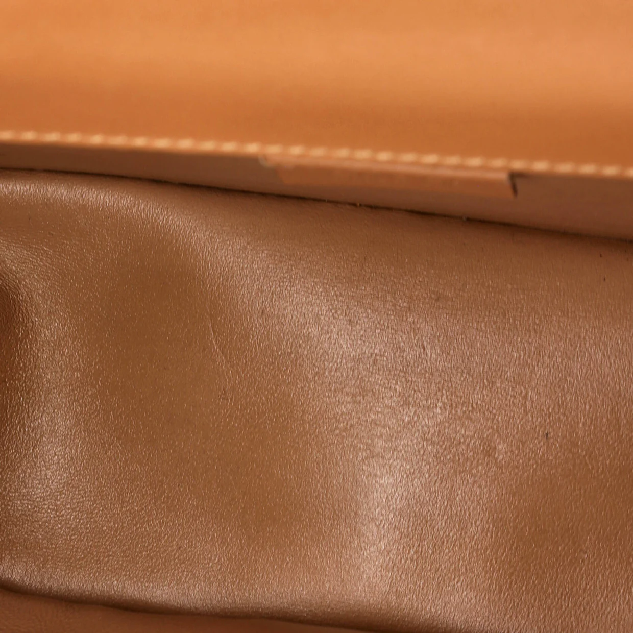 Dionysus Bag Lizard Small - Deep Luxury