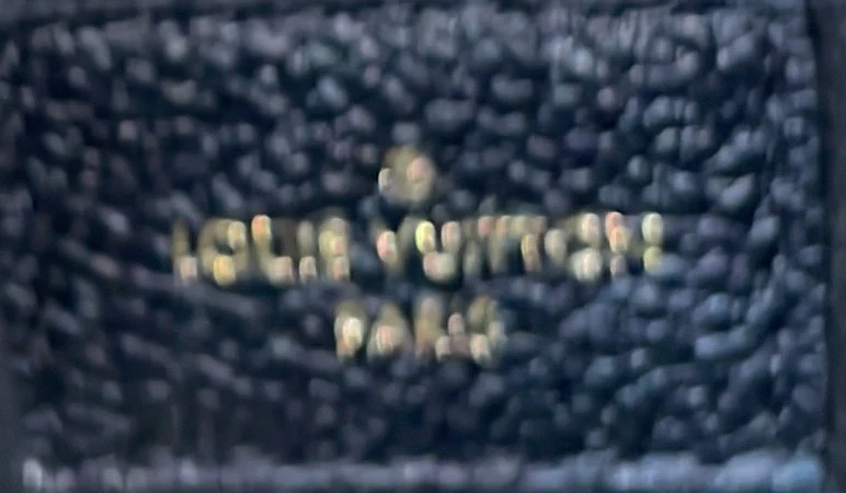 Speedy Bandouliere Bag Monogram Empreinte Giant 20 - Deep Luxury