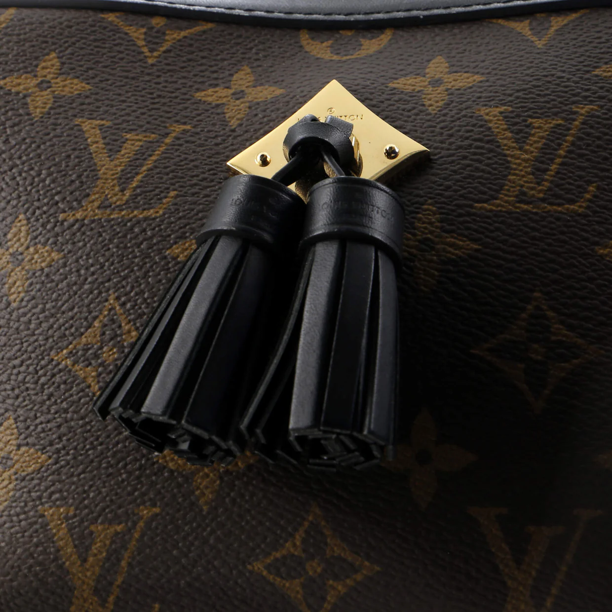 Saintonge Handbag Monogram Canvas with Leather - Deep Luxury