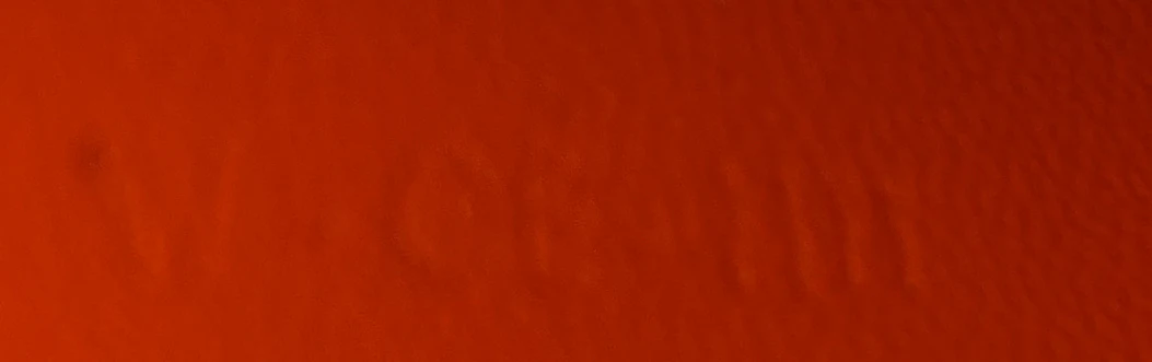 Classic Box Bag Python Medium - Deep Luxury