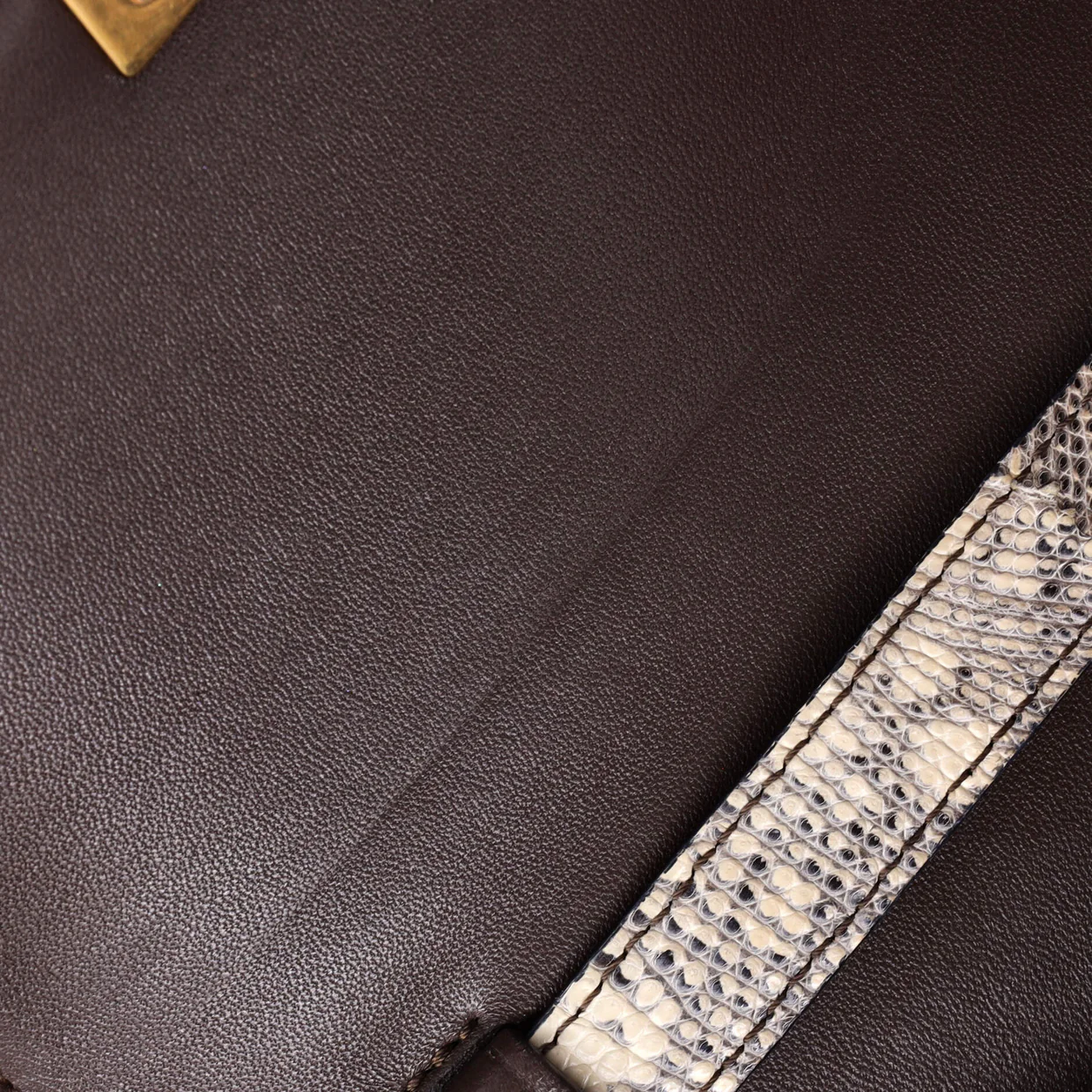 Classic Box Bag Lizard Small - Deep Luxury